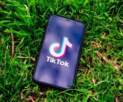 Easy TikTok Side Gig – $10 Per Post, No Filming Needed