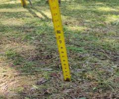 Grass Cutting Job Available – Same-Day Pay